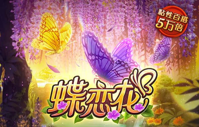 半岛体体育综合aPP